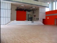 舞台舞蹈地板，舞台地板，舞蹈舞台地板，舞蹈地板，舞