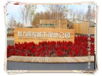 哈尔滨防腐木樟子松