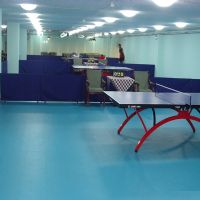 室外乒乓球地板胶专业乒乓球场地塑胶地板