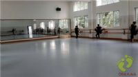 厂家长期供应舞蹈地胶羽毛球地胶 舞台地板