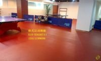 乒乓球地板 乒乓球专用地板胶 室内运动地板 室内运