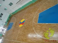 篮球场馆体育木地板多少钱一平米