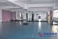 舞蹈房专用地板 舞蹈地板 舞蹈教室地胶
